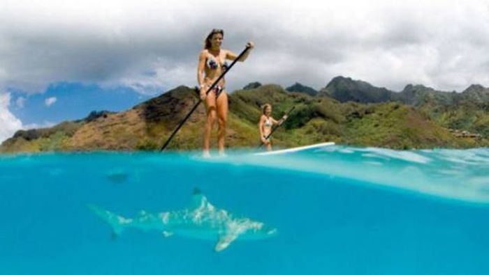If Your Day Looks Like This, It's Completely Ruined (46 pics)