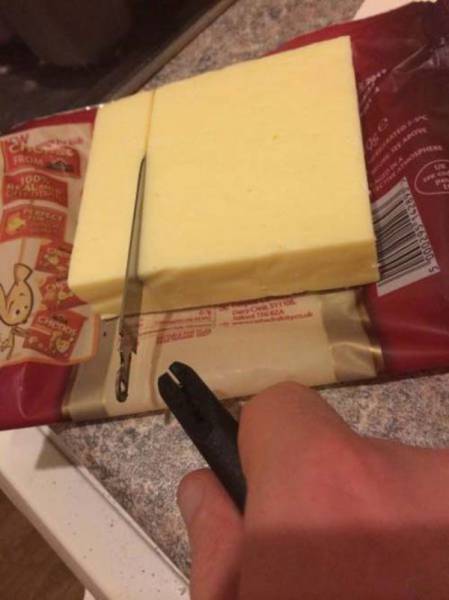 If Your Day Looks Like This, It's Completely Ruined (46 pics)