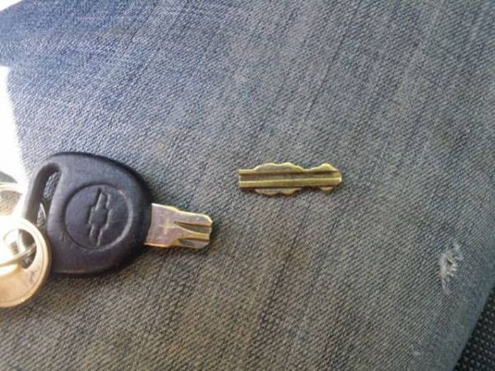If Your Day Looks Like This, It's Completely Ruined (46 pics)