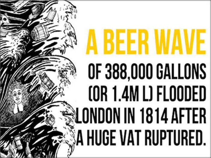 25 Facts About Beer That You Need To Know (25 pics)