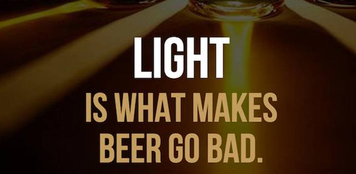25 Facts About Beer That You Need To Know (25 pics)