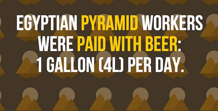 25 Facts About Beer That You Need To Know (25 pics)