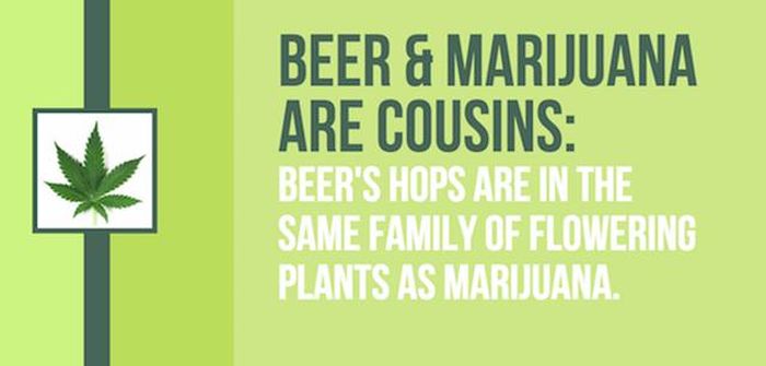 25 Facts About Beer That You Need To Know (25 pics)