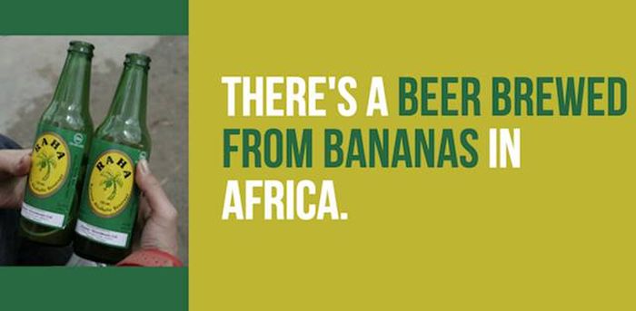 25 Facts About Beer That You Need To Know (25 pics)