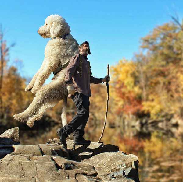 Guy Turns His Dog Into A Giant With Some Help From Photoshop (25 pics)