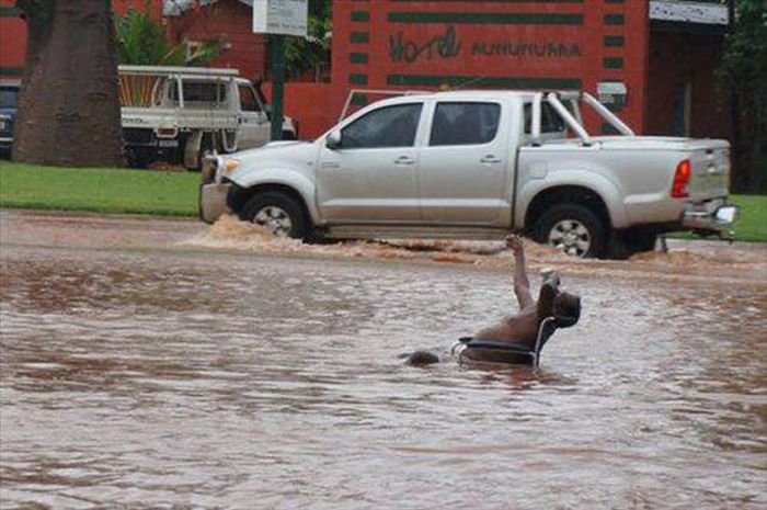 People Who Just Stopped Caring About What The Rest Of The World Thinks (41 pics)