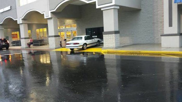 People Who Just Stopped Caring About What The Rest Of The World Thinks (41 pics)