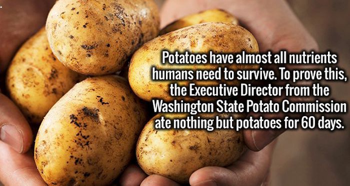 Interesting Facts That Are Definitely Worthy Of Being Stored In Your Brain (19 pics)