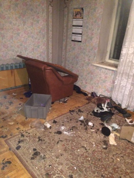 Landlord Discovers Rented Cottage Trashed By Ten Dogs And An Old Lady (9 pics)