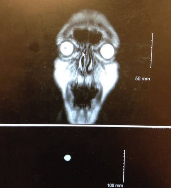 Haunting Photos That Will Send Shivers Directly Down Your Spine (31 pics)