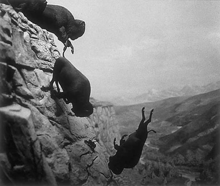 Haunting Photos That Will Send Shivers Directly Down Your Spine (31 pics)