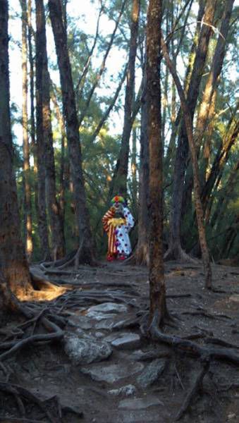 Haunting Photos That Will Send Shivers Directly Down Your Spine (31 pics)