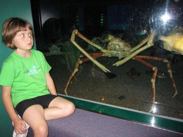 Haunting Photos That Will Send Shivers Directly Down Your Spine (31 pics)