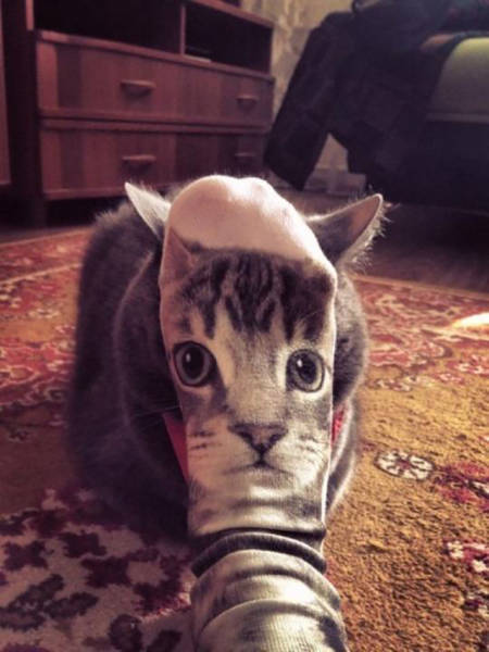 Awesome Pictures That Were Perfectly Timed (50 pics)