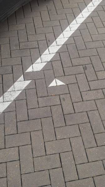 Annoying Things (41 pics)