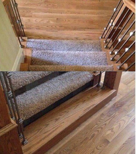 Annoying Things (41 pics)