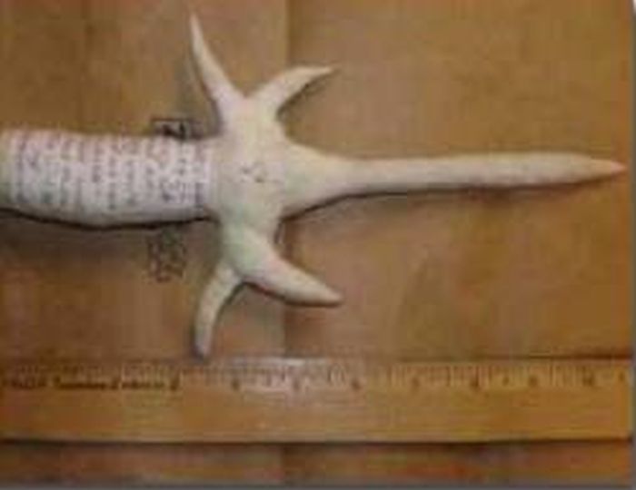 Prison Weapons You Won't Believe People Actually Made (17 pics)