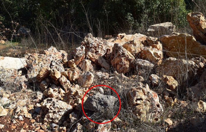 Can You Figure Out Which One Of These Rocks Is Actually A Bomb? (15 pics)