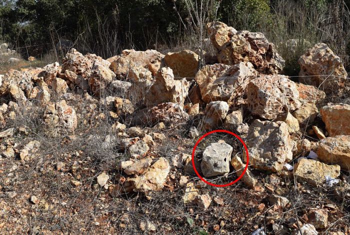 Can You Figure Out Which One Of These Rocks Is Actually A Bomb? (15 pics)