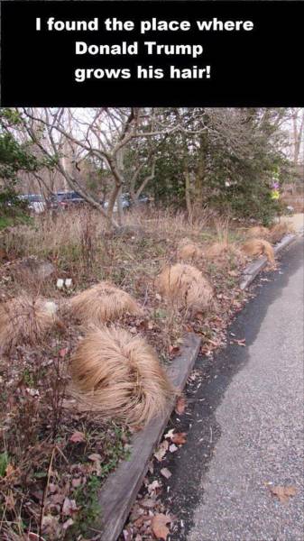 Acid Picdump (171 pics)