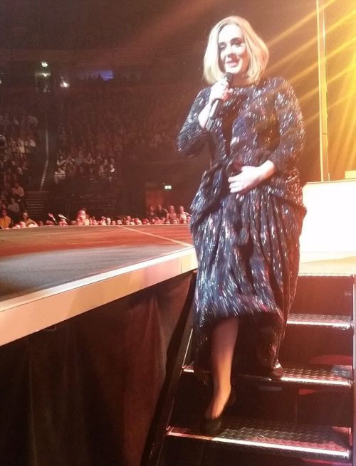 An Adele Fan Tried To Get A Picture Of The Singer But Instead She Got Photobombed (3 pics)