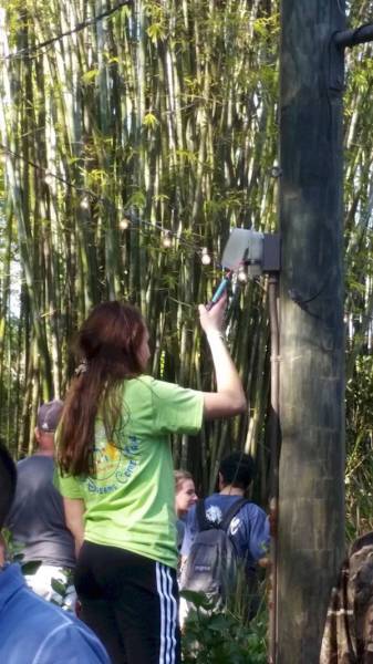 People Who Found Funny Places To Charge Their Phones (38 pics)