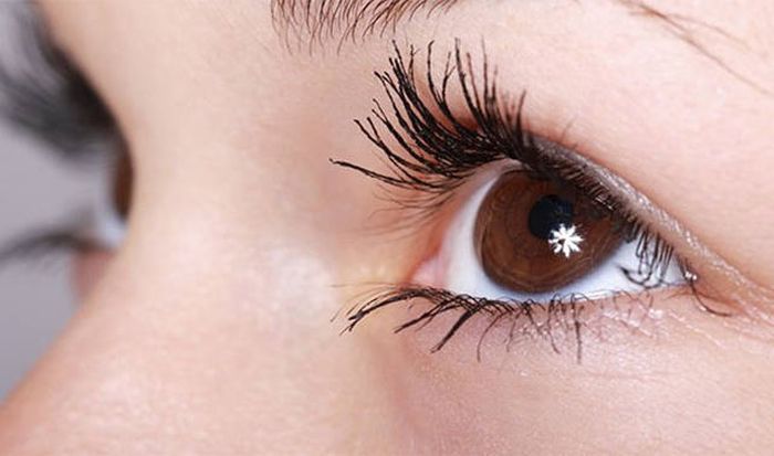 A Few Exciting Facts About Eyes That You Probably Didn't Know (25 pics)
