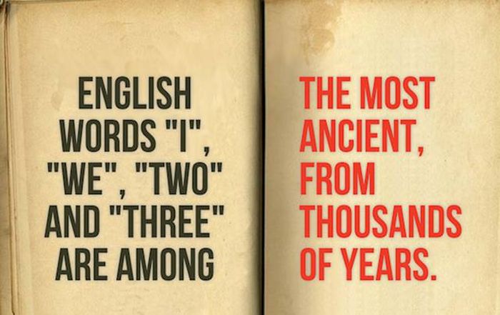 Important Facts About English Language That You Need To Know (25 pics)