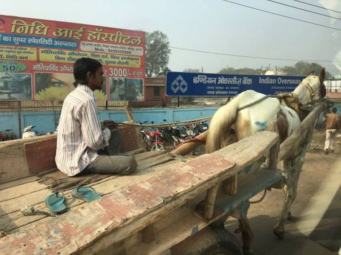 Photos That Show Why India Is Like No Other Place On Earth (41 pics)