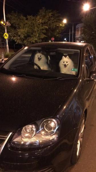 Acid Picdump (100 pics)