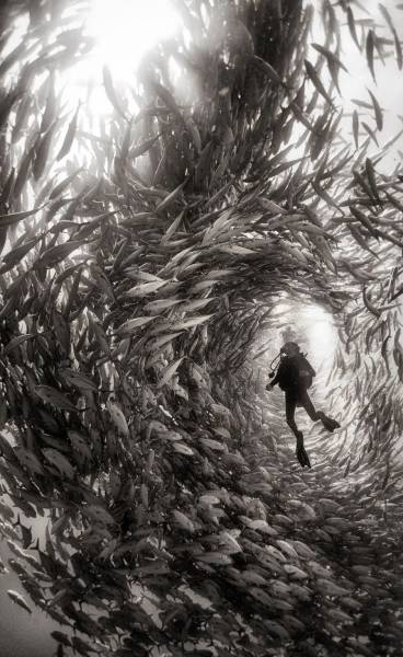 Acid Picdump (100 pics)