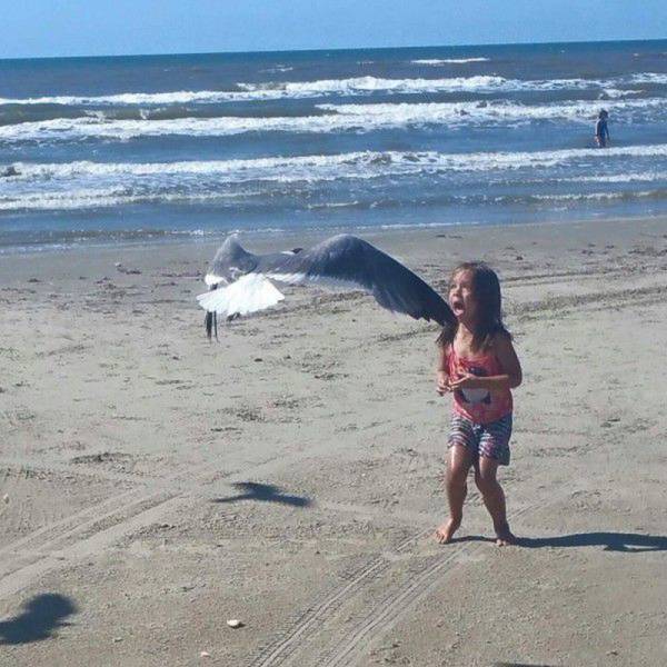 Acid Picdump (100 pics)