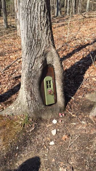 Acid Picdump (100 pics)