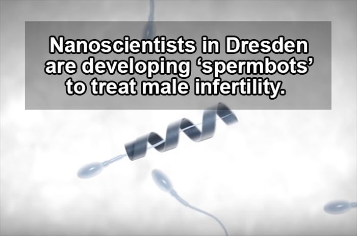Fascinating Facts And Stats About Sex That Will Arouse Your Brain (10 pics)