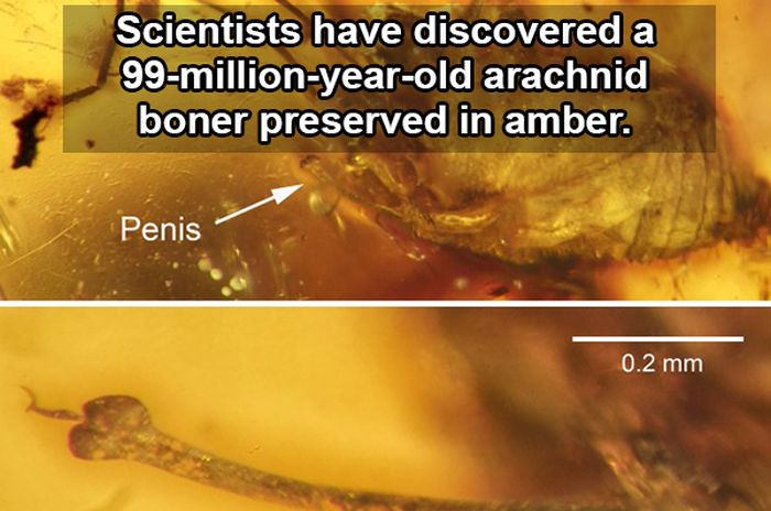 Fascinating Facts And Stats About Sex That Will Arouse Your Brain (10 pics)