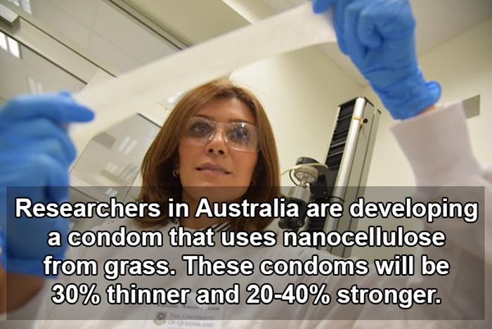Fascinating Facts And Stats About Sex That Will Arouse Your Brain (10 pics)