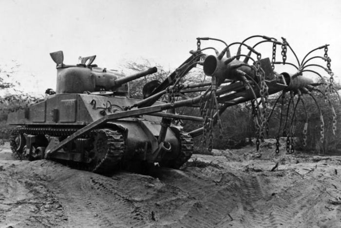 Tanks That Took On The Minefields (17 pics)