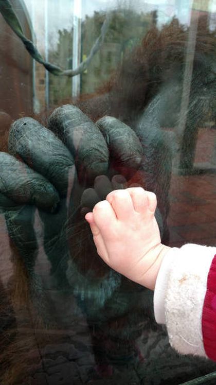 Acid Picdump (114 pics)