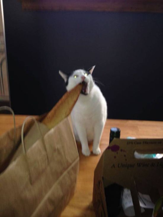 Acid Picdump (114 pics)