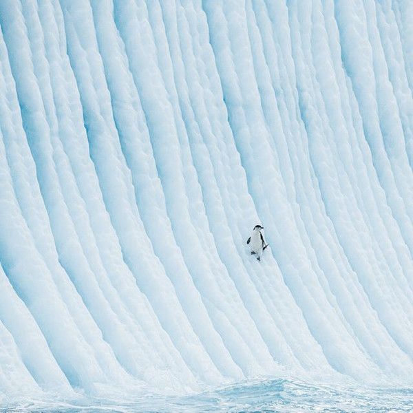 Acid Picdump (114 pics)
