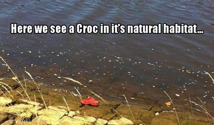 Acid Picdump (114 pics)