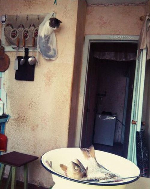 Acid Picdump (114 pics)
