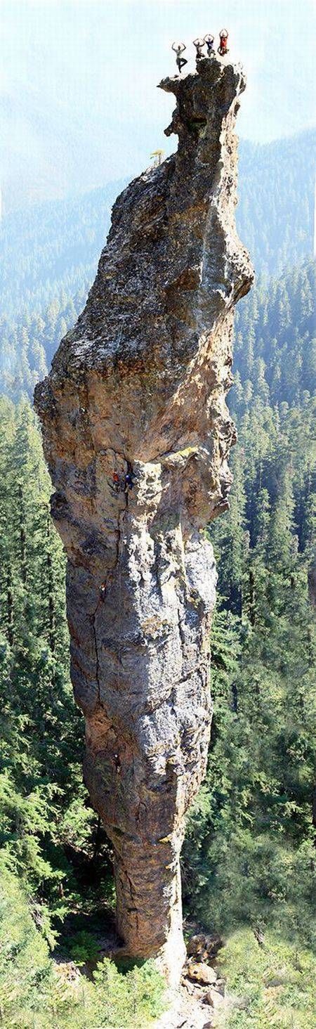 Acid Picdump (114 pics)