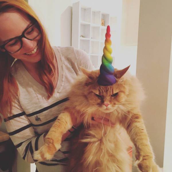 Acid Picdump (114 pics)