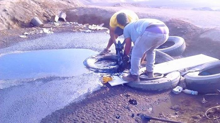 Dog Survives After Being Rescued From A Tar Pit (9 pics)