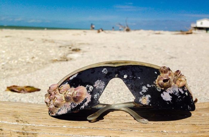 23 Strange And Rare Items People Found On The Beach (23 pics)