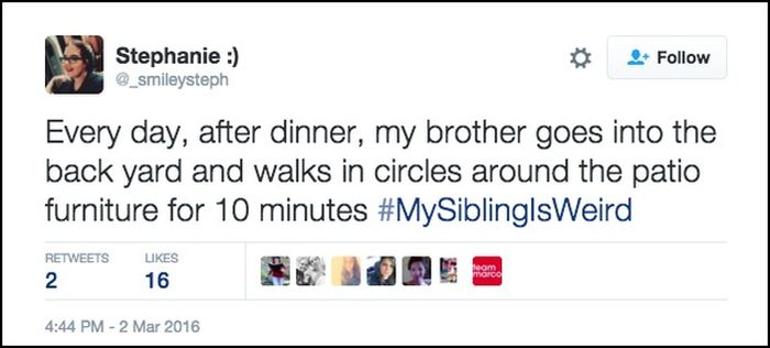 Jimmy Fallon's Viewers Share Strange Stories About Their SIblings (18 pics)