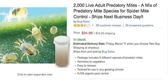 The Top 10 Craziest Items That Amazon Actually Sells In Bulk (10 pics)