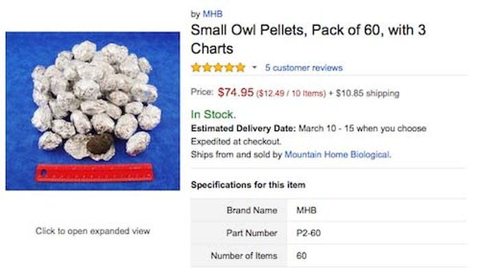 The Top 10 Craziest Items That Amazon Actually Sells In Bulk (10 pics)