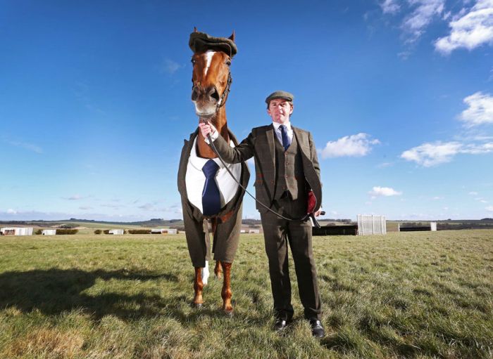 This Horse Looks Absolutely Stunning In A Three Piece Suit (4 pics)